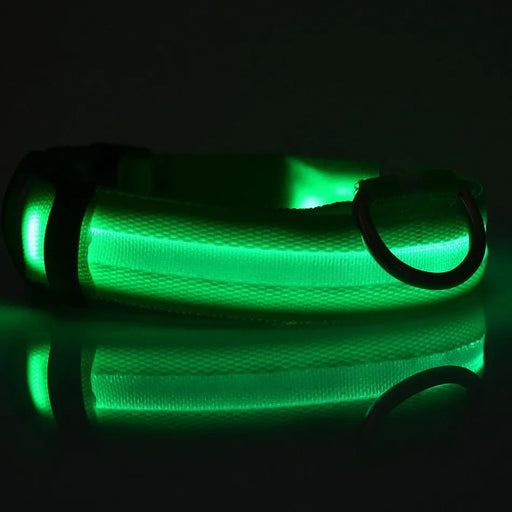 Pet LED Collar