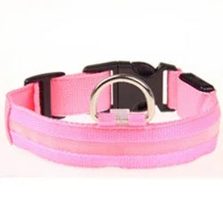 Pet LED Collar