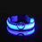 Glow In The Dark LED Dog Safety Collar