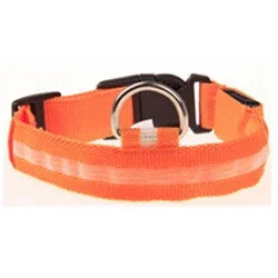 Pet LED Collar