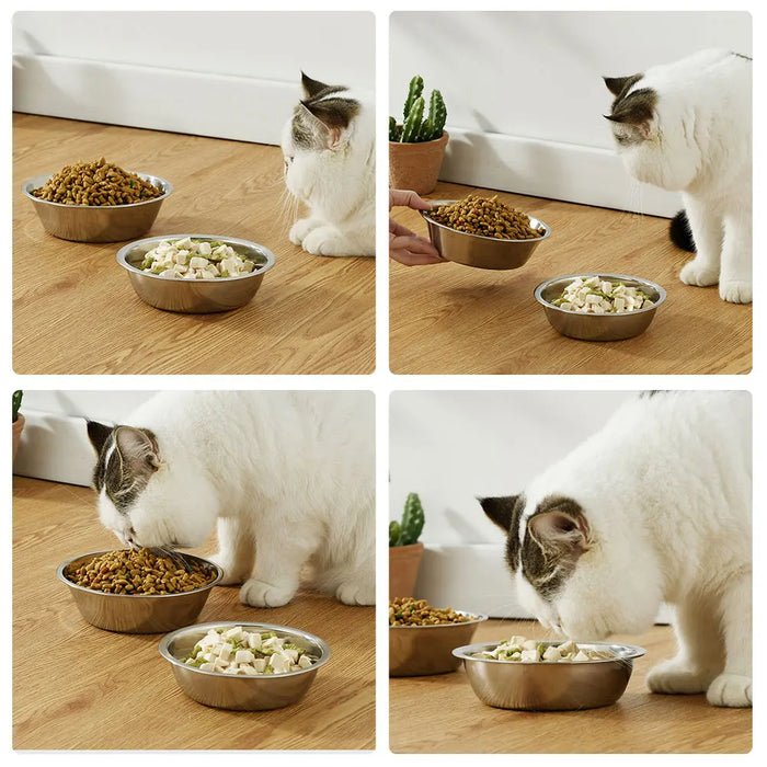 Stainless Steel Feeding Bowl