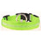 Pet LED Collar